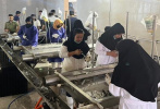 بچه ماهی‌های پرورشی «سی‌باس» توسط کلینیک تخصصی آبزیان جهاد دانشگاهی تهران واکسینه شدند