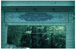 مجتمع کوی دانشگاه تهران
